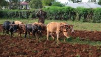 Grassroots Soil Health Advocacy: Lessons and Stories from Cycle to Farms’ Regenerative Journey